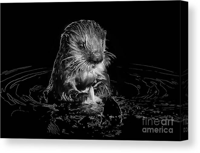 Animal Canvas Print featuring the photograph Simply Otter by Alice Cahill