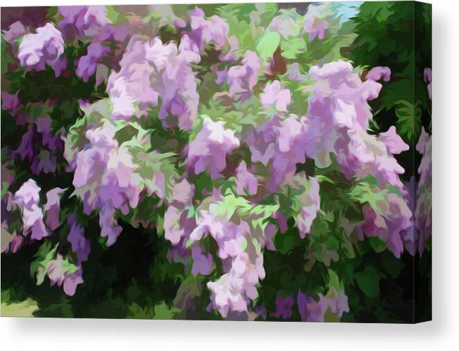 Lilac Canvas Print featuring the photograph Simply Soft Lilac Bushes by Aimee L Maher ALM GALLERY