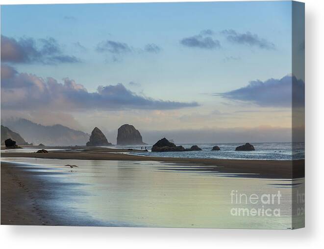 Cannon Beach Canvas Print featuring the photograph Skimming along the beach at sunset by Paul Quinn