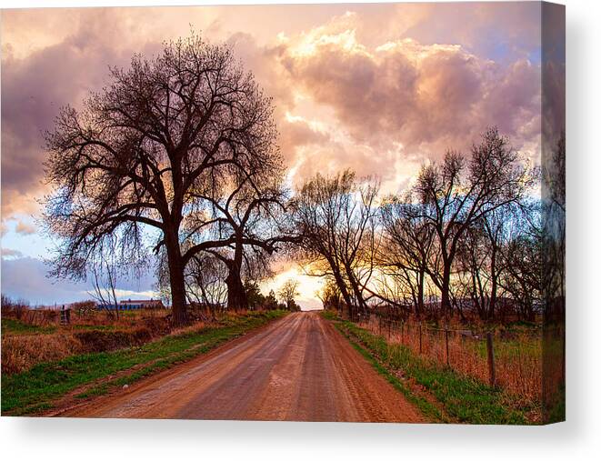 Roads Canvas Print featuring the photograph Sky Driving by James BO Insogna