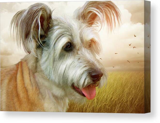 Dog Canvas Print featuring the photograph Skye Terrier by Ethiriel Photography