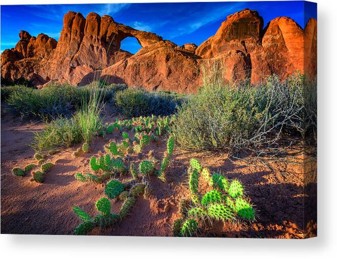 Skyline Arch Canvas Print featuring the photograph Skyline Arch In Late Day Sun by Rick Berk