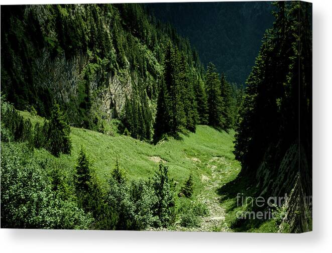 Michelle Meenawong Canvas Print featuring the photograph Slope Downwards by Michelle Meenawong