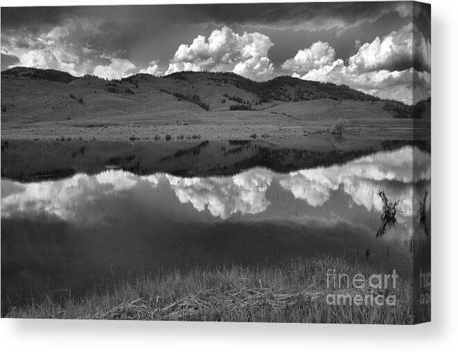 Slough Creek Canvas Print featuring the photograph Slough Creek Lush Green And Stormy Skies Black And White by Adam Jewell