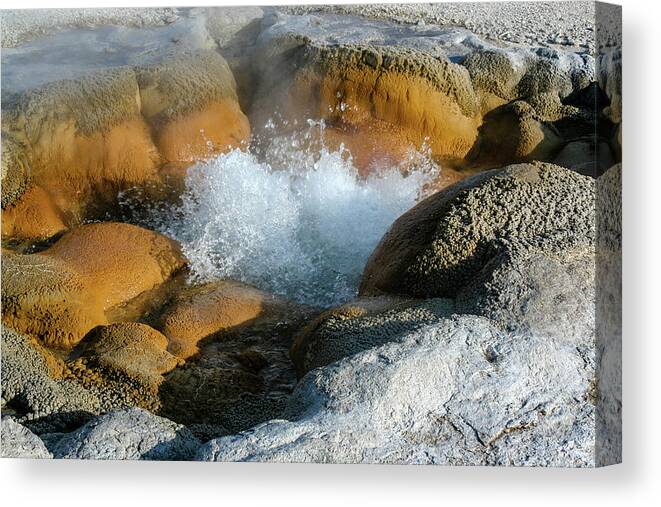 Yellowstone Canvas Print featuring the photograph Small Bubbling Geyser, Yellowstone by Aashish Vaidya