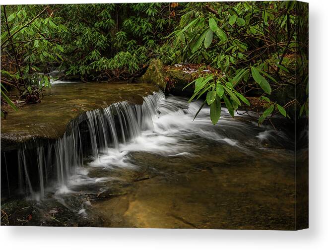 Daniel Boone National Forest Canvas Print featuring the photograph Small cascade on Pounder Branch. by Ulrich Burkhalter