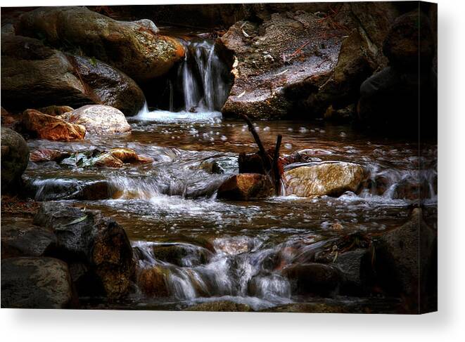 Water Canvas Print featuring the photograph Small Falls by Elaine Malott