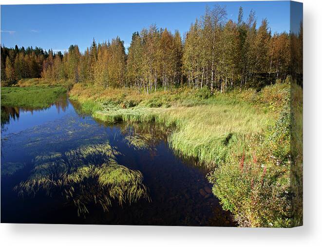 Lake Canvas Print featuring the photograph Small Lake in Levi by Aivar Mikko