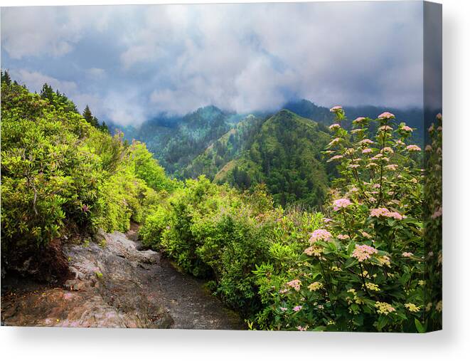 Appalachia Canvas Print featuring the photograph Smoky Mountain Overlook by Debra and Dave Vanderlaan