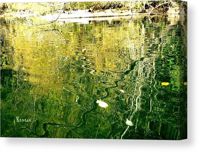 Trees Canvas Print featuring the photograph Snaky Reflection by A L Sadie Reneau