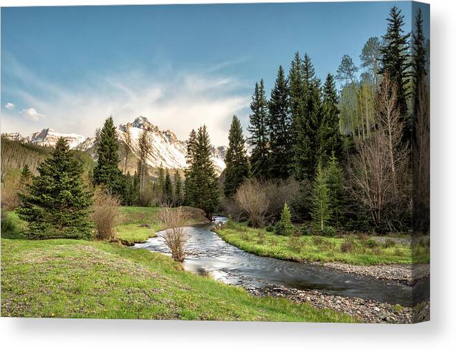 Sneffels Canvas Print featuring the photograph Sneffels and Spring Stream by Denise Bush