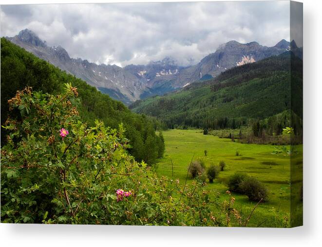 uncompahgre National Fores Canvas Print featuring the photograph Sneffles Range by Lana Trussell
