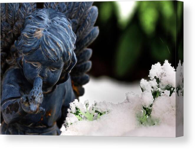 Angel Canvas Print featuring the photograph Snow Angel Whisperer by Shelley Neff