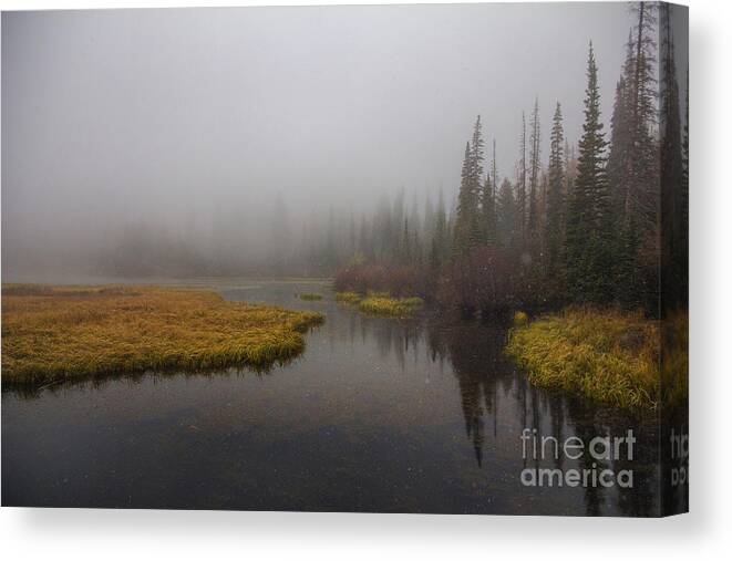 Silver Canvas Print featuring the photograph First Snow by Spencer Baugh