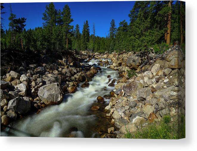 Rocky Canvas Print featuring the photograph Snow Melt Stream by Sean Allen