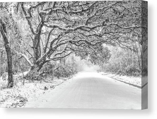 Snow Canvas Print featuring the photograph Snow On Witsell Rd - Oak Tree by Scott Hansen
