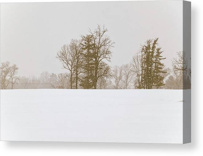 Snowfall Canvas Print featuring the photograph Snowfall - by Julie Weber