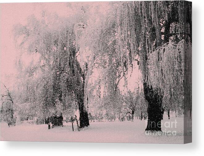 Snowy Sunday Canvas Print featuring the photograph Snowing again by Julie Lueders 