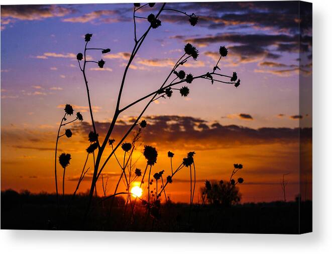 Sunrise Canvas Print featuring the photograph Nebraska Sunrise by Mindy Musick King