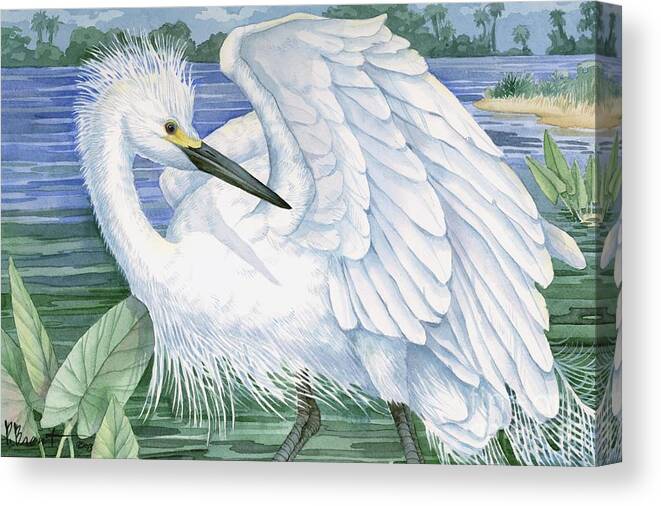 Coast Canvas Print featuring the painting Snowy Egret by Paul Brent
