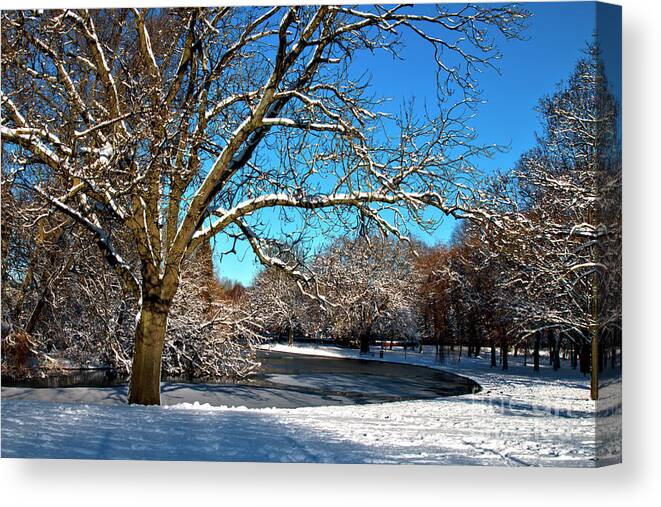Landscape Canvas Print featuring the photograph Snowy Pond by Baggieoldboy