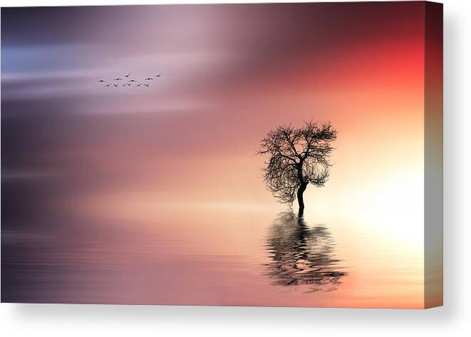 Amazing Canvas Print featuring the photograph Solitude by Bess Hamiti