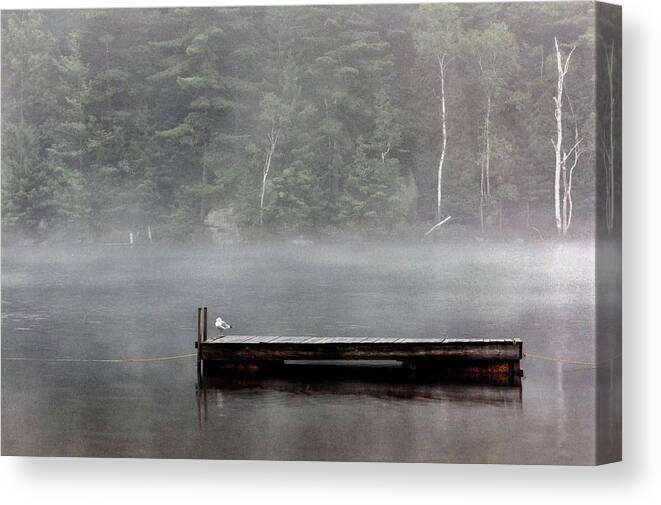 Raft Canvas Print featuring the photograph Solitude by DArcy Evans