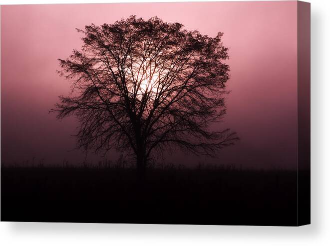 Tennessee Canvas Print featuring the photograph Solitude by Jonas Wingfield