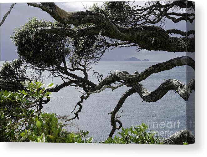 Ocean Canvas Print featuring the photograph Somewhere around Whangarei, New Zealand by Yurix Sardinelly