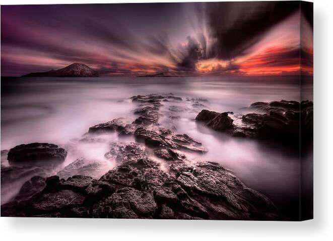 Oahu Canvas Print featuring the photograph Somewhere Between Light And Shadow by Mark Yugawa