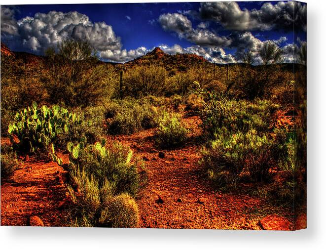 Arizona Canvas Print featuring the photograph Sonoran Desert Winter 02 by Roger Passman