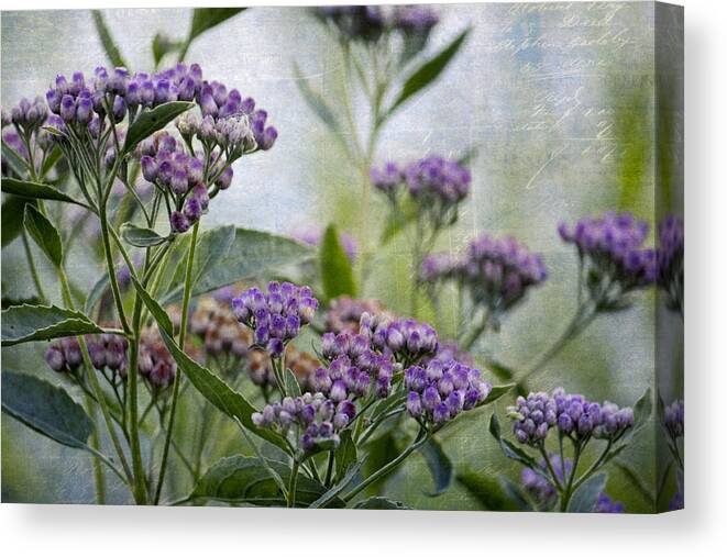 Flowers Canvas Print featuring the photograph Sophie's Garden by HH Photography of Florida