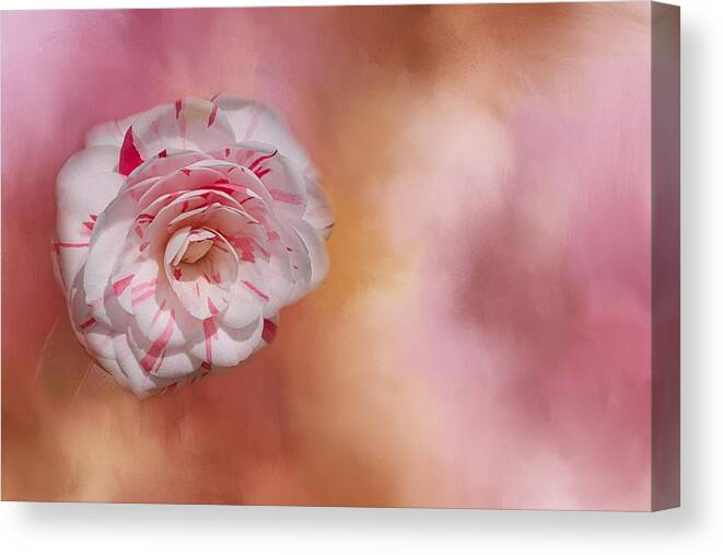 Flower Canvas Print featuring the photograph Southern Beauty by Kim Hojnacki