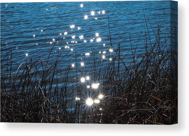 Riverbend Ponds Canvas Print featuring the photograph Sparkles at Riverbend Ponds by Monte Stevens