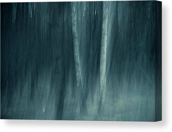 Trees Canvas Print featuring the photograph Spell by Dorit Fuhg