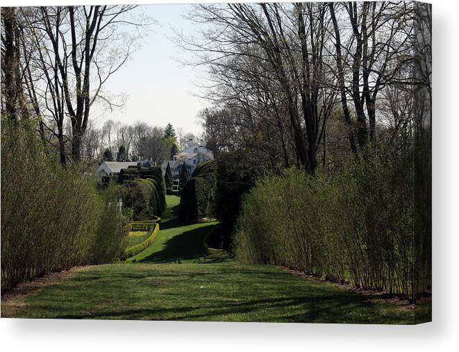 Spring Canvas Print featuring the photograph Spring at Ladew Topiary Gardens by Vadim Levin