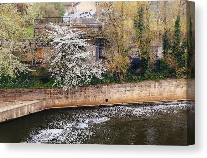 Bath Canvas Print featuring the photograph Spring Blossoms at Bath Spillway by Laura Tucker