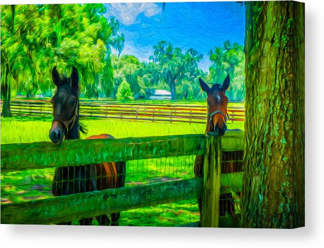 Spring Colts # Ocala Fl # Northern Florida # Florida # Horse Farms # Horse Country # Marion County # Canvas Print featuring the painting Spring colts by Louis Ferreira
