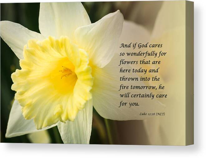 God Canvas Print featuring the photograph Spring Daffodils Wtih Scripture by Joni Eskridge