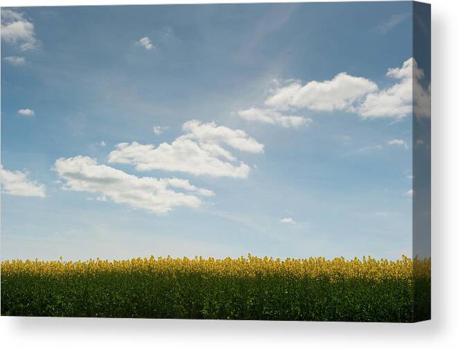 Helen Northcott Canvas Print featuring the photograph Spring Day Clouds by Helen Jackson