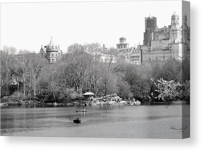 Central Park Canvas Print featuring the photograph Spring Day in Central Park in Black and White by Living Color Photography Lorraine Lynch