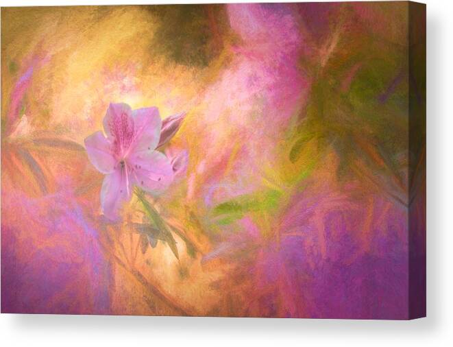 Spring Canvas Print featuring the photograph Spring Has Sprung by Ches Black
