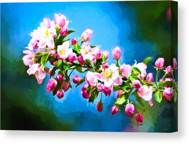Spring Canvas Print featuring the photograph Spring Impressions by Greg Norrell