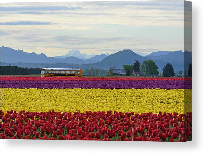 Spring Canvas Print featuring the digital art Spring in Skagit Valley by Michael Lee