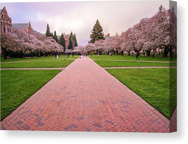 Seattle Canvas Print featuring the photograph Spring Morning At The Quad by Matt McDonald