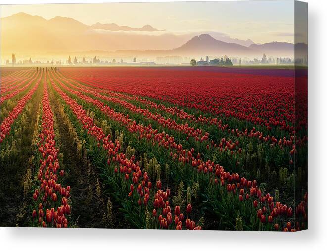skagit Valley Canvas Print featuring the photograph Spring Palette by Ryan Manuel