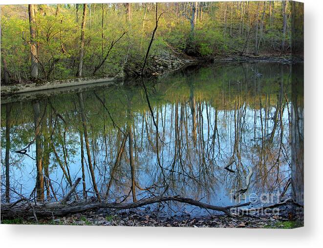 Reflections Canvas Print featuring the photograph Spring Reflections by Karen Adams