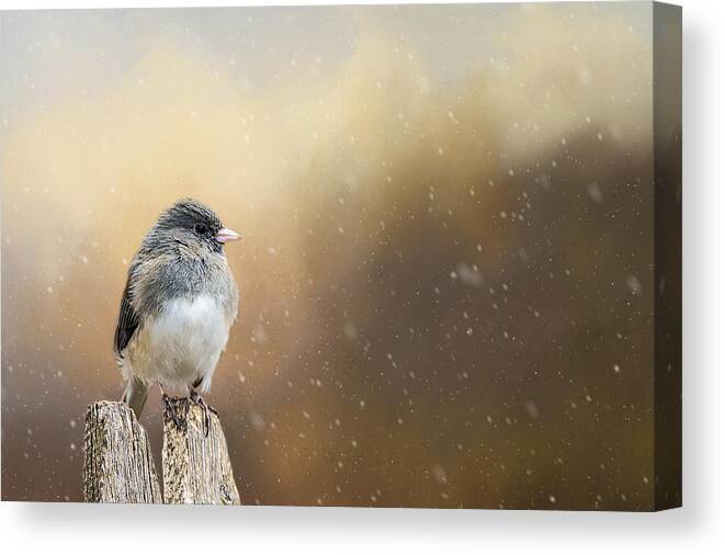 Snow Canvas Print featuring the photograph Spring Snow by Cathy Kovarik