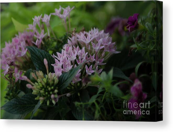Flowers Canvas Print featuring the photograph Spring Time Basket of Flowers by Dale Powell