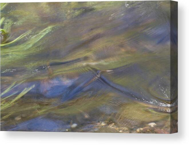 Spring Turbulence Canvas Print featuring the photograph Spring Turbulence by Dylan Punke